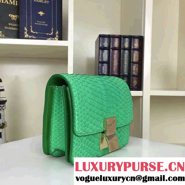Celine Python Leather Classic Box Small Bag Green 2016