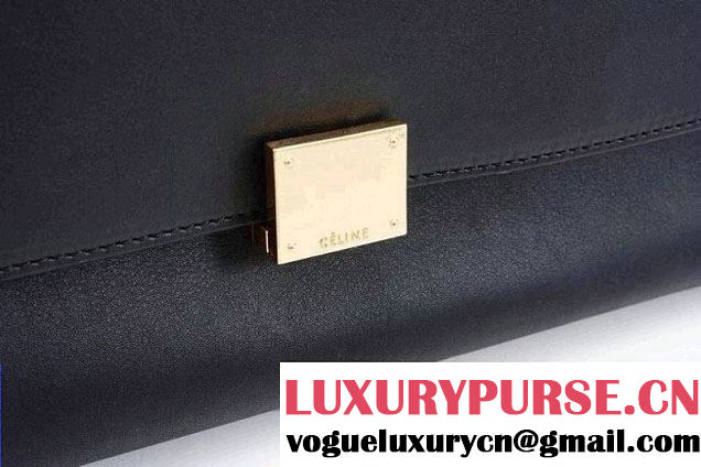 Celine Trapeze Tricolor Bag 2014