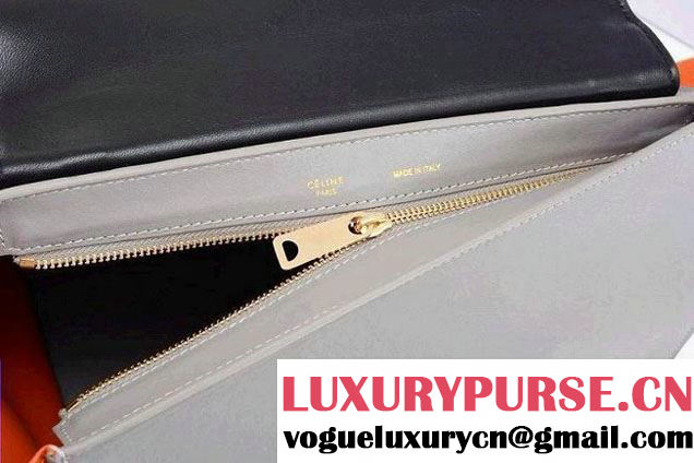 Celine Trapeze Tricolor Bag 2014