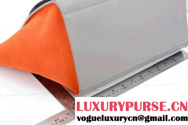 Celine Trapeze Tricolor Bag 2014