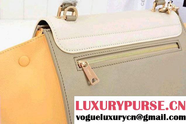 Celine Trapeze Tricolor Bag 2014