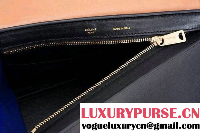 Celine Trapeze Tricolor Bag 2014