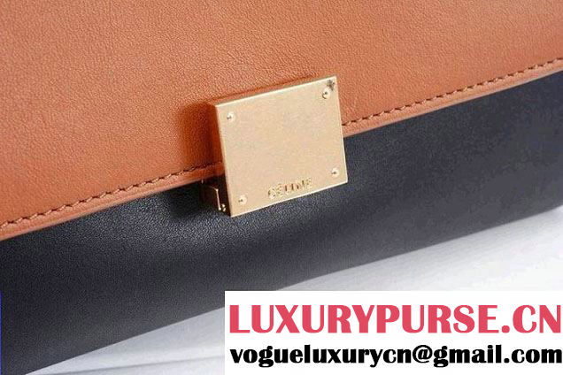Celine Trapeze Tricolor Bag 2014