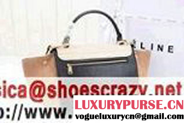 Celine Trapeze Tricolor Bag 2014