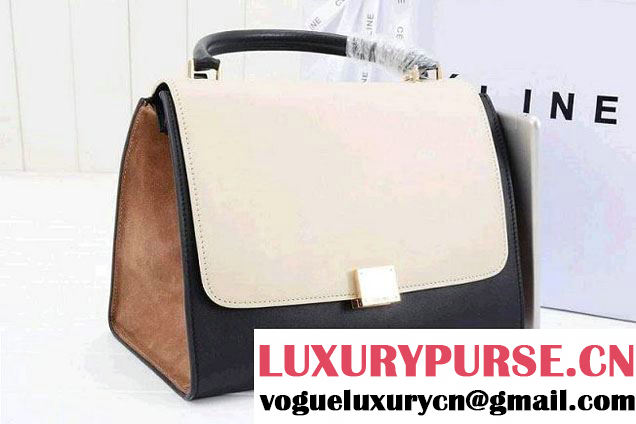 Celine Trapeze Tricolor Bag 2014