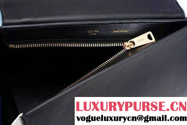 Celine Trapeze Tricolor Bag 2014