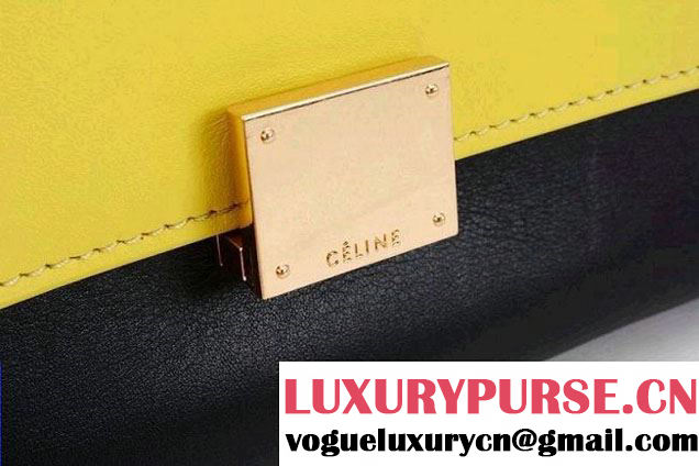 Celine Trapeze Tricolor Bag 2014
