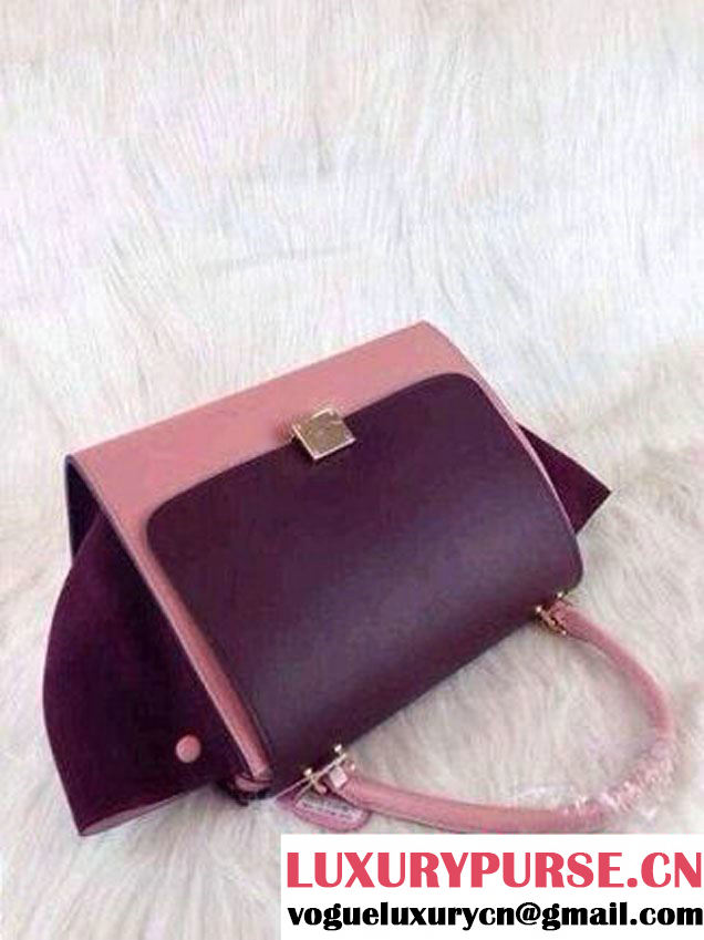 Celine Trapeze Tricolor Bag 2014