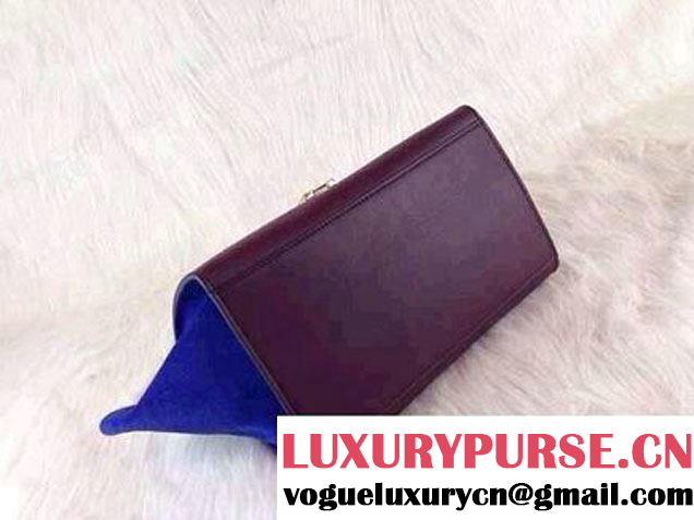 Celine Trapeze Tricolor Bag 2014