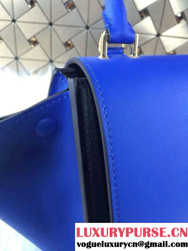 Celine Trapeze Tricolor Bag 2014