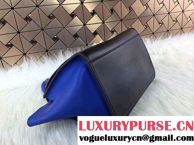Celine Trapeze Tricolor Bag 2014