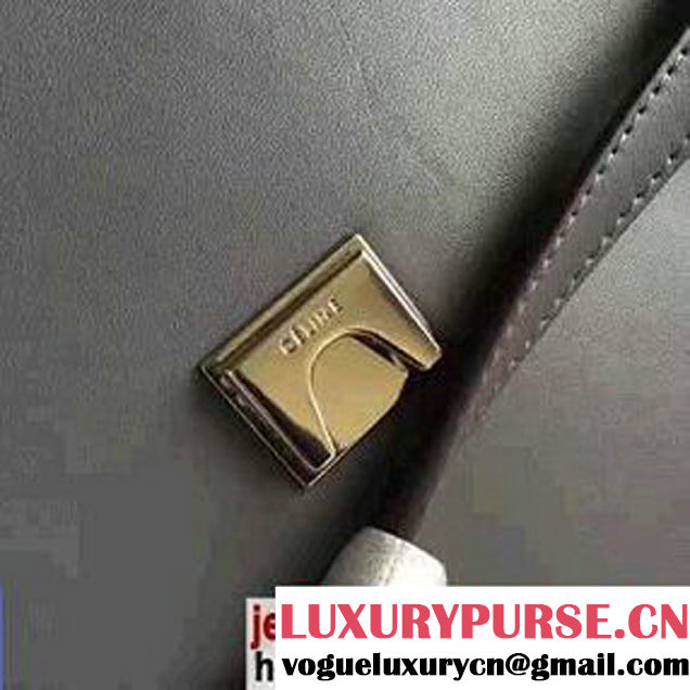 Celine Belt Tote Small Bag in Calfskin Leather Gary