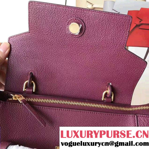 Celine Belt Tote Mini Bag in Original Clemence Leather Fusia