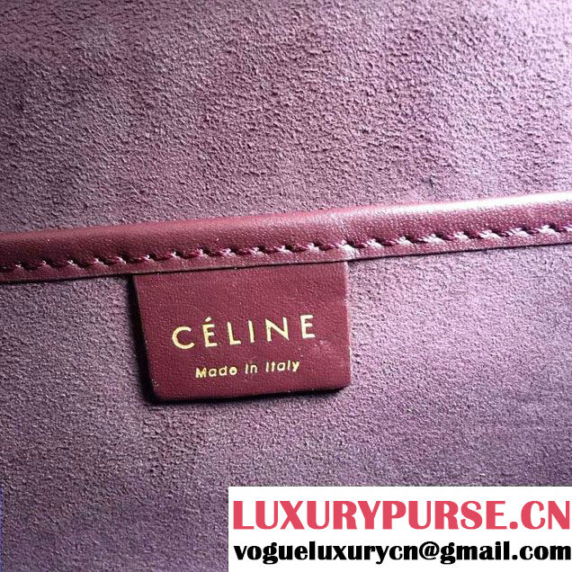 Celine Luggage Nano Tote Bag in Original Calfskin Leather