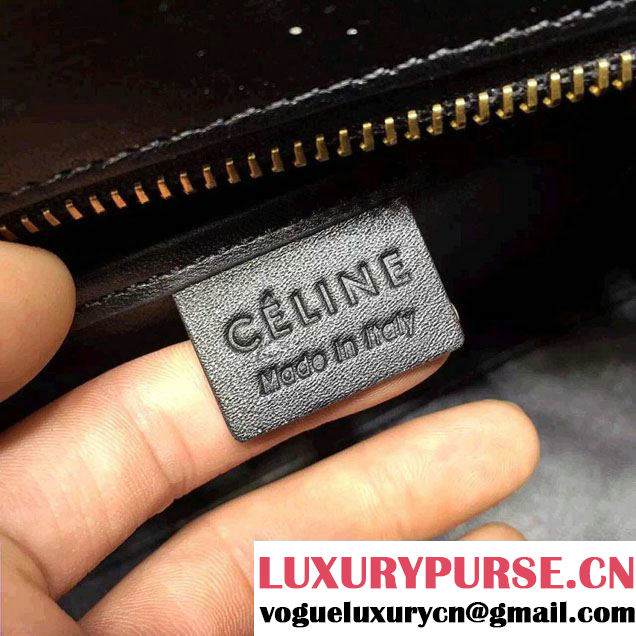 Celine Luggage Nano Tote Bag in Original Grained Leather