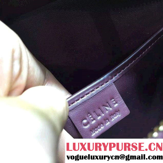 Celine Luggage Nano Tote Bag in Original Smooth Calfskin Burgundy 2016