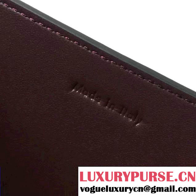 Celine Smooth Calfskin Medium Frame Shoulder Bag Burgundy/Light Camel Spring 2017