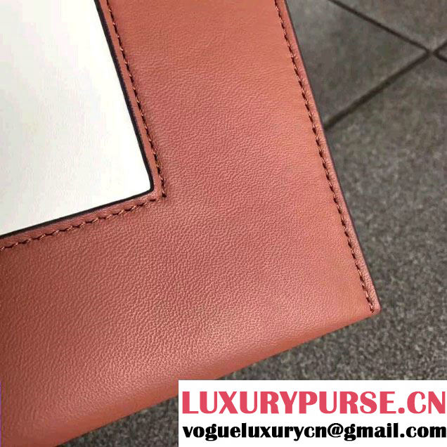 Celine Smooth Calfskin Medium Frame Shoulder Bag Spring 2017