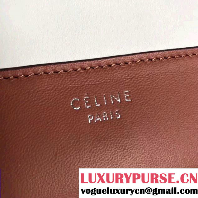 Celine Smooth Calfskin Medium Frame Shoulder Bag Spring 2017