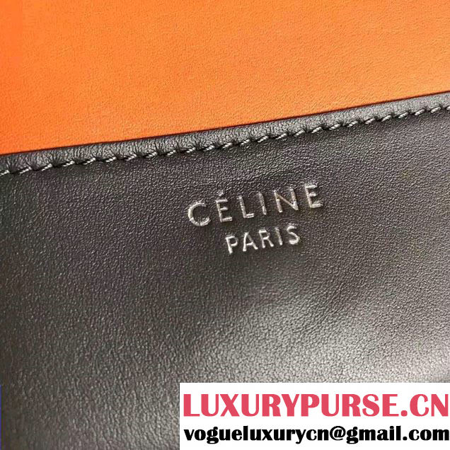 Celine Smooth Calfskin Medium Frame Shoulder Bag Spring 2017