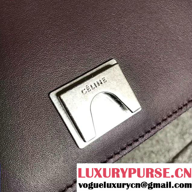 Celine Smooth Calfskin Medium Frame Shoulder Bag Spring 2017