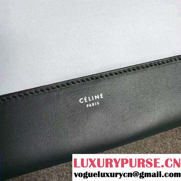 Celine Smooth Calfskin Medium Frame Shoulder Bag Spring 2017