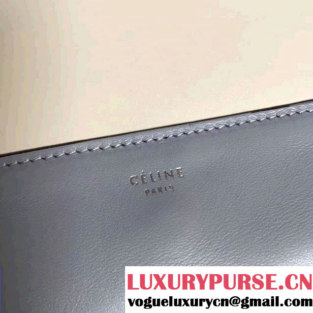 Celine Smooth Calfskin Medium Frame Shoulder Bag Spring 2017