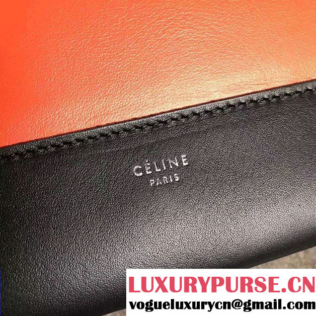 Celine Smooth Calfskin Medium Frame Shoulder Bag Spring 2017