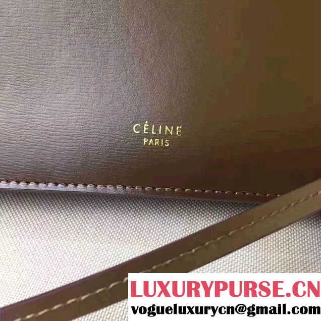 Celine Mini Clasp In Natural Calfskin Crossbody Bag Patina 2017