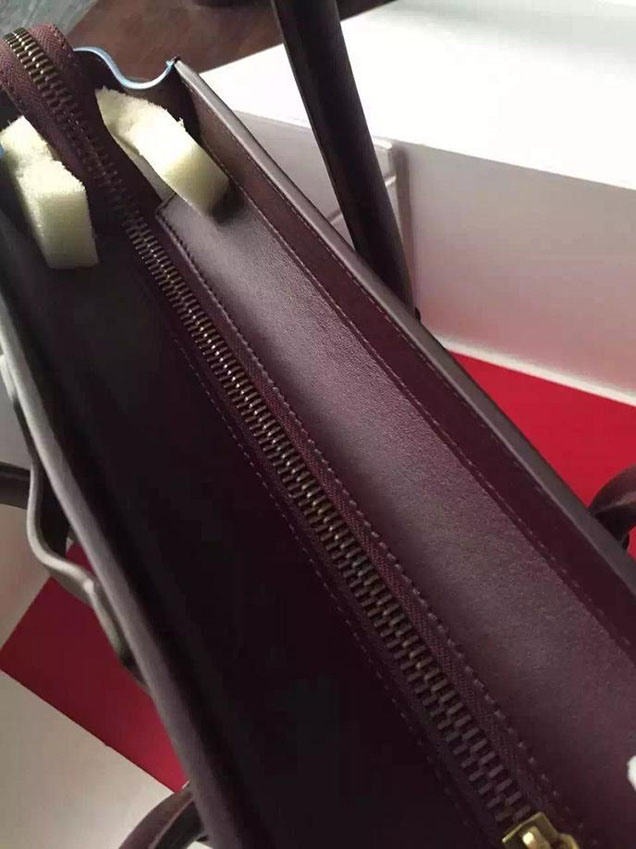 Celine Micro Luggage Bag Grained Calfskin Fall Winter 2015 Collection Multicolor Beige Burgundy Blue