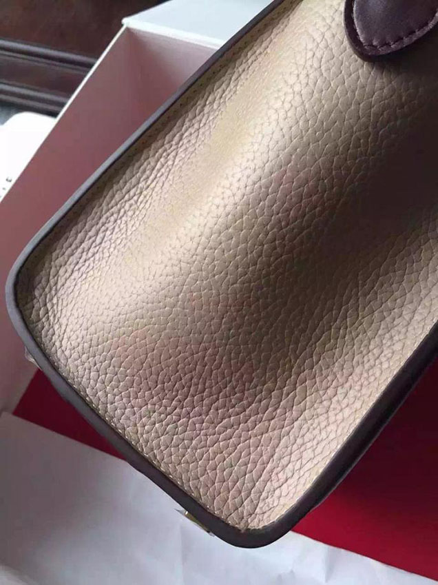 Celine Micro Luggage Bag Grained Calfskin Fall Winter 2015 Collection Multicolor Salmon Burgundy Orange Beige