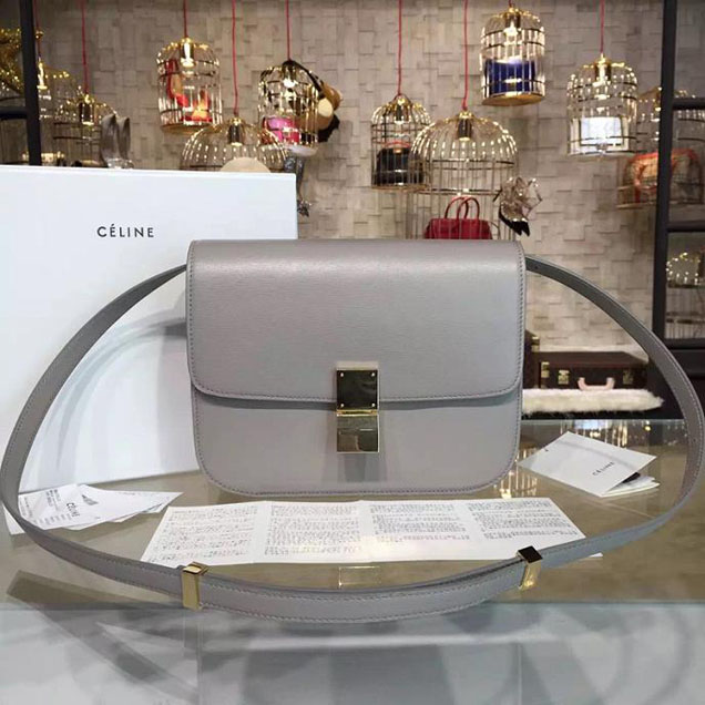 Celine Box Crossbody Bag Smooth Leather Pre-Fall Winter 2015 Collection Beige