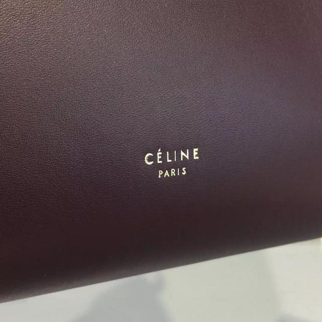 Celine Belt Top Handle Mini Bag Smooth Calfskin Leather Pre-Fall Winter 2016 Collection Burgundy