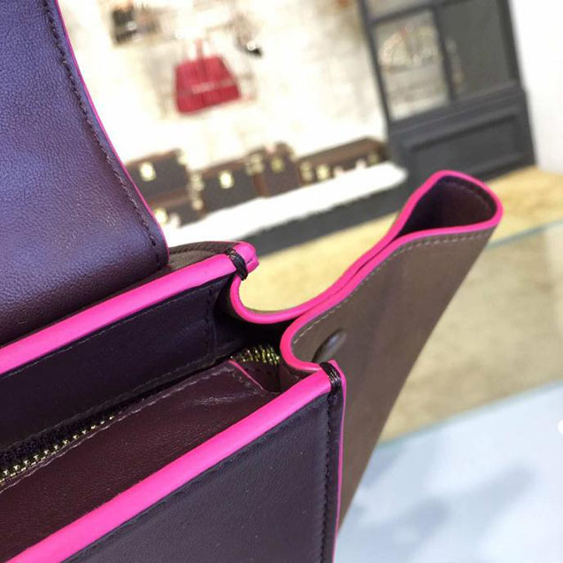 Celine Trapeze Top Handle Medium Bag Smooth Calfskin with Suede Leather Pre-Fall Winter 2016 Collection Beige Burgundy Brown with Pink Piping