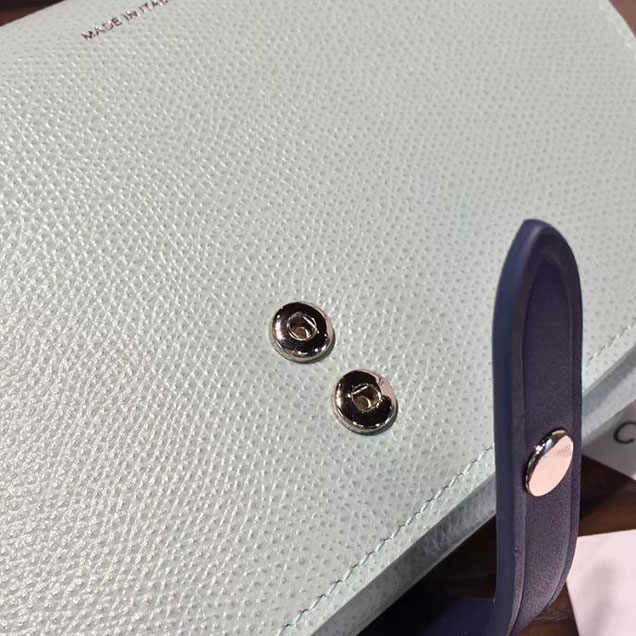 Celine Clutch on Strap Bag Grained Calfskin Pre-Fall Winter 2016 Collection Light Blue Navy