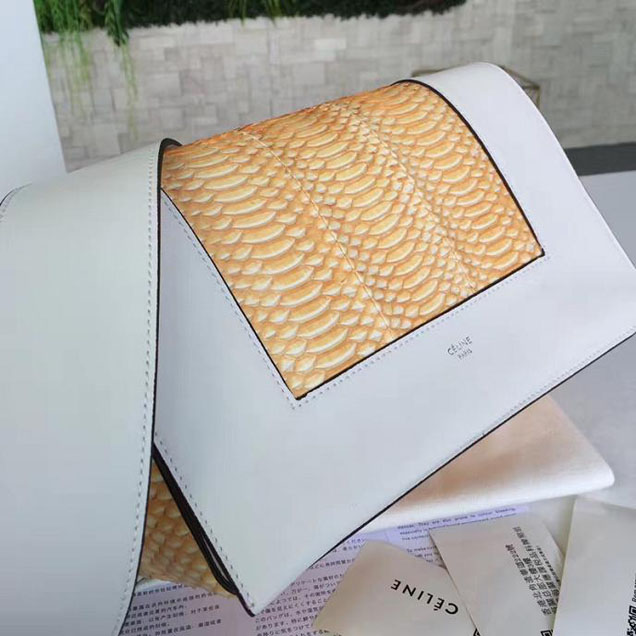 Celine Frame 25cm Bag Watersnake Smooth Calfskin Pre-Fall 2017 Bag Collection Sunflower White