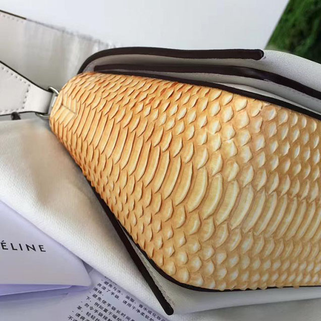 Celine Frame 25cm Bag Watersnake Smooth Calfskin Pre-Fall 2017 Bag Collection Sunflower White