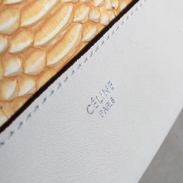 Celine Frame 25cm Bag Watersnake Smooth Calfskin Pre-Fall 2017 Bag Collection Sunflower White