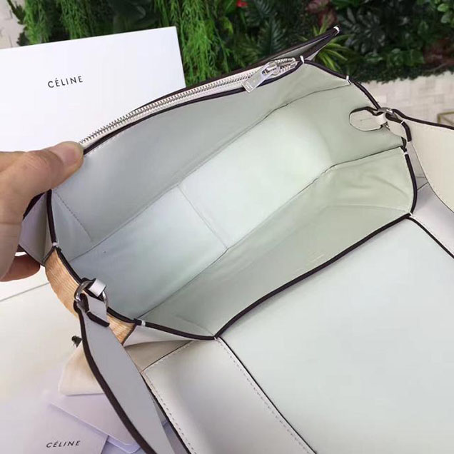 Celine Frame 25cm Bag Watersnake Smooth Calfskin Pre-Fall 2017 Bag Collection Sunflower White