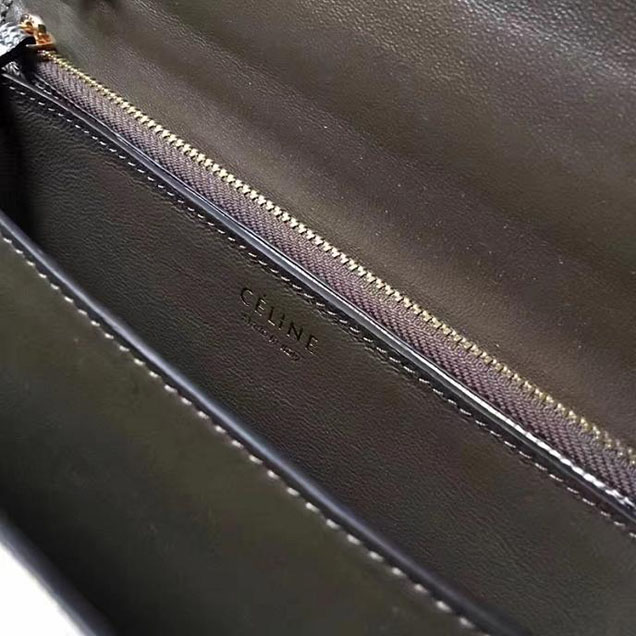 Celine Classic Box Medium Bag Lizard Skin Pre-Fall 2017 Bag Collection Light Taupe