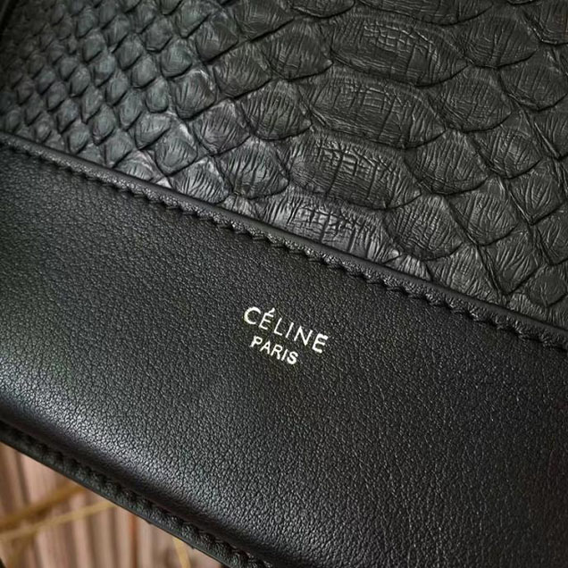 Celine Frame 25cm Bag Watersnake Smooth Calfskin Pre-Fall 2017 Bag Collection Black