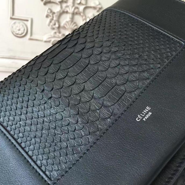 Celine Frame 25cm Bag Watersnake Smooth Calfskin Pre-Fall 2017 Bag Collection Black