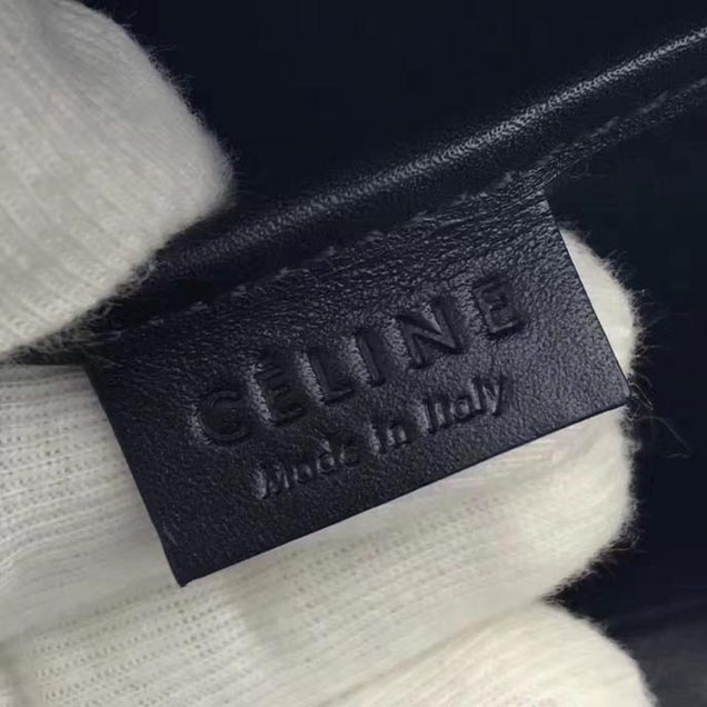 Celine Nano Luggage 20cm Bag Lizard Skin Pre-Fall 2017 Collection Ballerina
