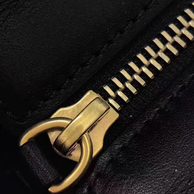 Celine Nano Luggage 20cm Bag Lizard Skin Pre-Fall 2017 Collection Bubble