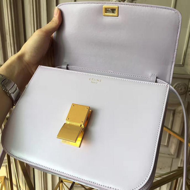 Celine Classic Box 23cm Bag Spazzolato Calfskin Pre-Fall 2017 Bag Collection Mineral