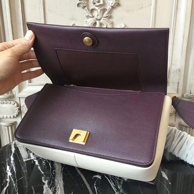 Celine Frame Bag 25cm Smooth Calfskin Pre-Fall 2017 Bag Collection Coffee White