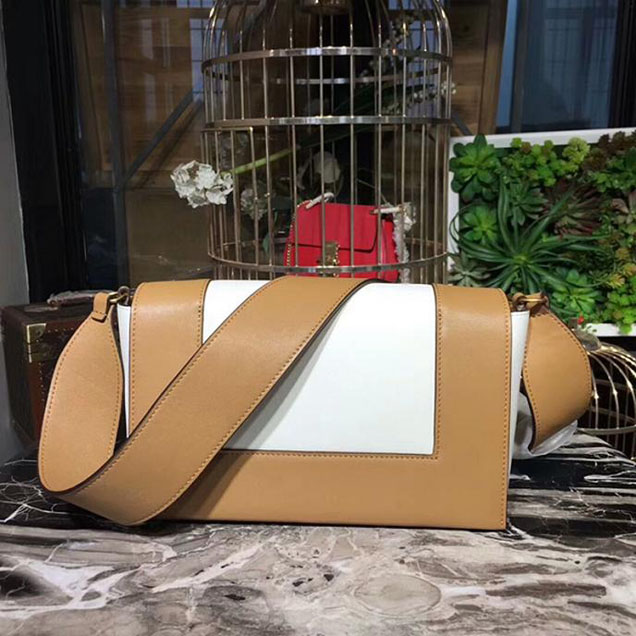 Celine Frame Bag 25cm Smooth Calfskin Pre-Fall 2017 Bag Collection Beige White