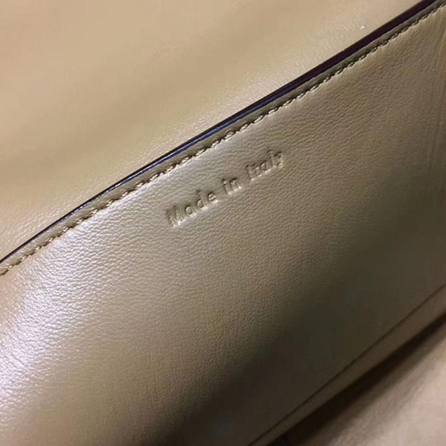 Celine Frame Bag 25cm Smooth Calfskin Pre-Fall 2017 Bag Collection Beige White