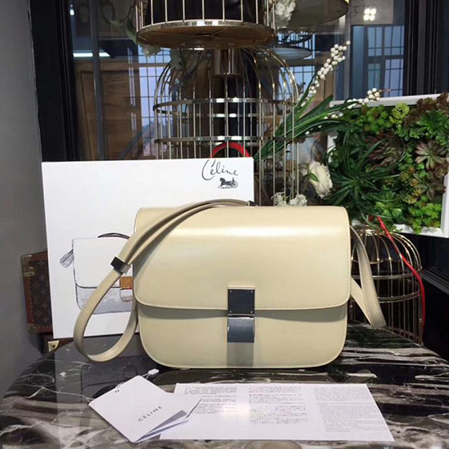 Celine Medium Classic Box Bag In Beige