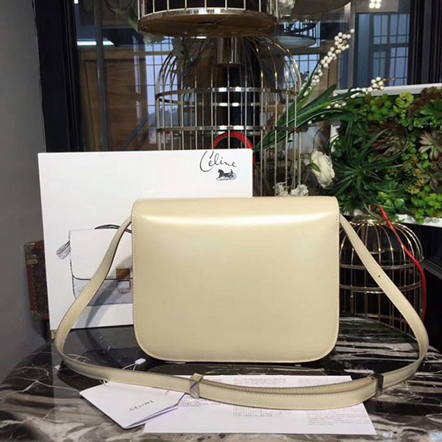 Celine Medium Classic Box Bag In Beige